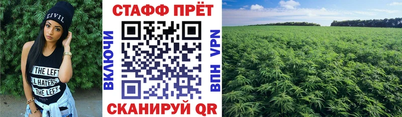 Хочу наркоту Гулькевичи ГАШ Марихуана Галлюциногенные грибы МЕФ КОКАИН