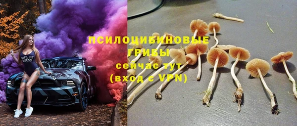 jwh Вяземский