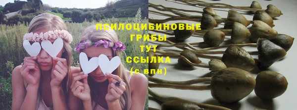 спайс Вязьма