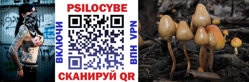 Псилоцибиновые грибы Psilocybine cubensis дарнет шоп Гулькевичи